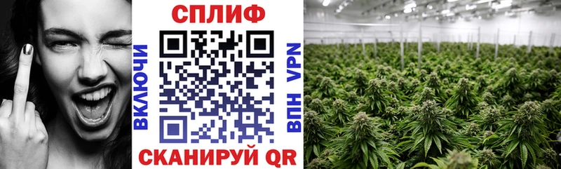 купить наркотик  Хвалынск  Марихуана Amnesia 